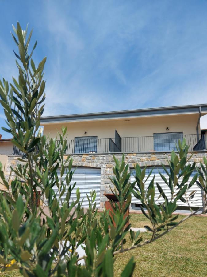 Apartmaji Aucin - Brda Kojsko Exterior photo